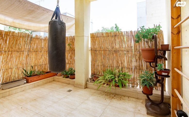 מיכל לייב כץ 