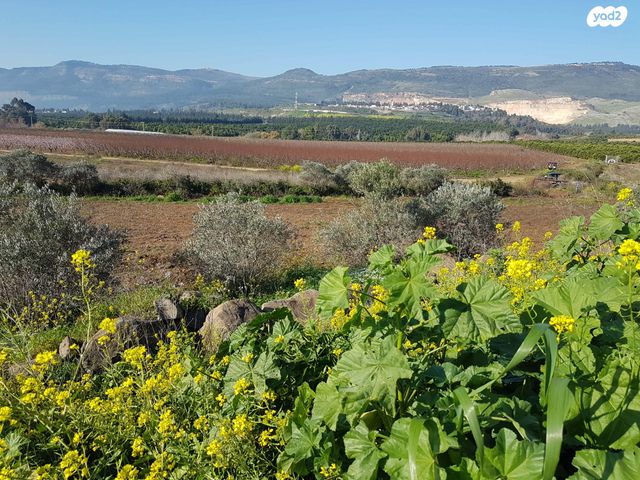 משק חקלאי/ נחלה