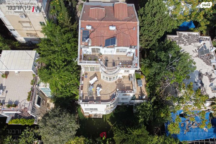 דירה, בנימין ד'ישראלי, אחוזה, חיפה