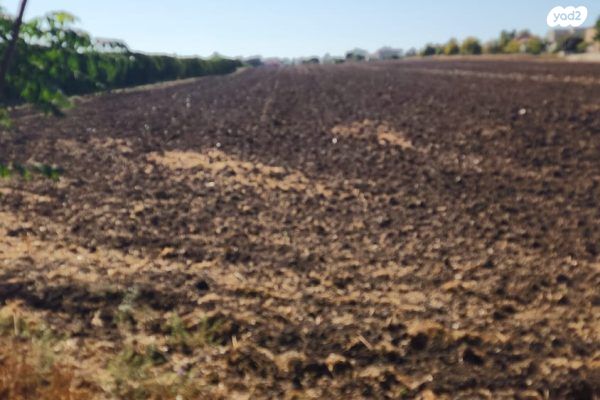 משק חקלאי/ נחלה