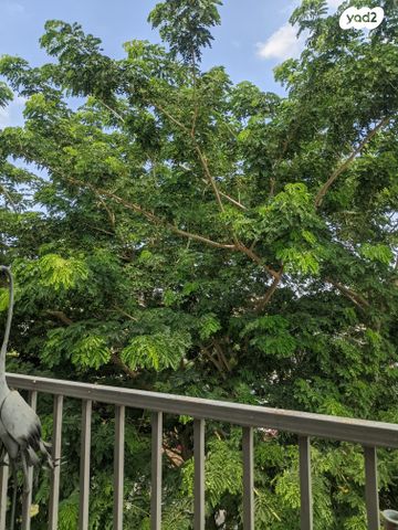 דירה, עמק השושנים, מרכז מערבי, נס ציונה