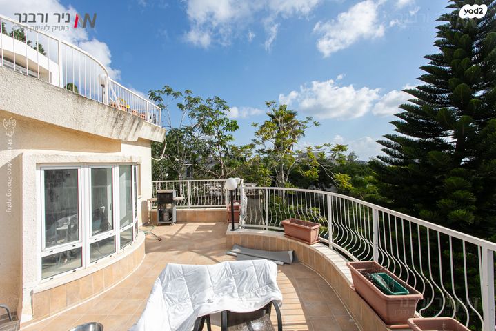 דירה, בנימין ד'ישראלי, אחוזה, חיפה