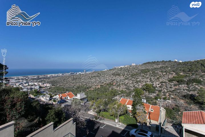 דו משפחתי, הוד הכרמל, דניה, חיפה