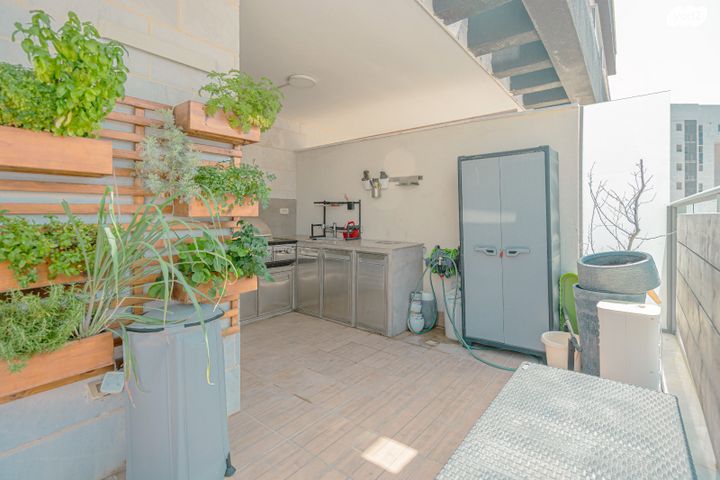 דירה, כלנית, הפרחים, חריש