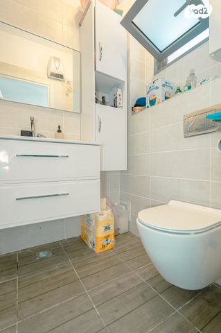 דירה, כלנית, הפרחים, חריש