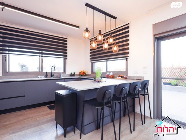 גג/ פנטהאוז, אנילביץ', ותיקים, כפר סבא