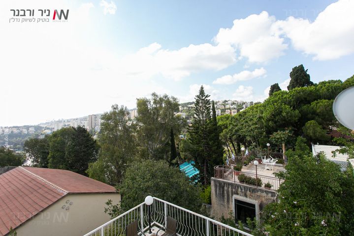 דירה, בנימין ד'ישראלי, אחוזה, חיפה