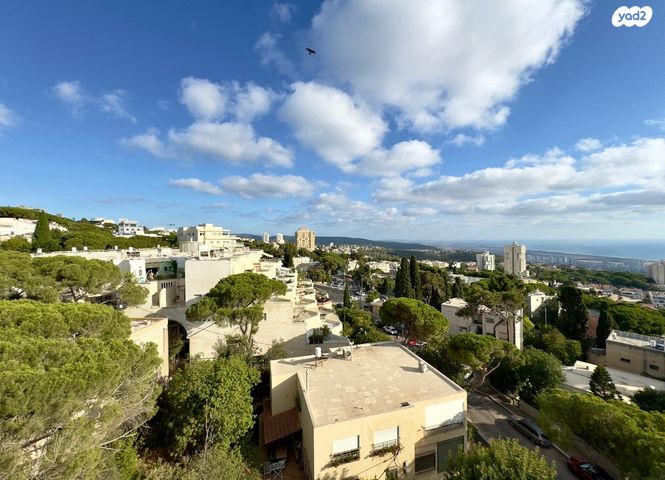 גג/ פנטהאוז, אחוזה, חיפה