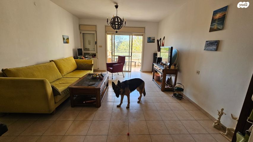 דירה, כתריאל טחורש, בית הכרם, רמת בית הכרם, ירושלים