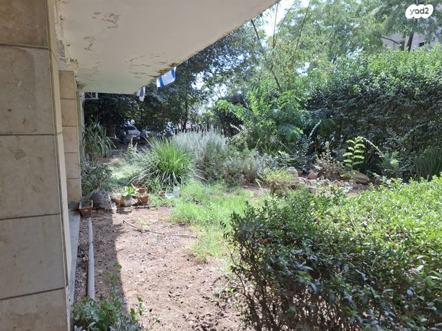 דירה, אברהם שלום יהודה, תלפיות, ירושלים