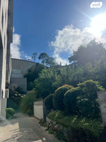 דירה, מנדל זינגר, סביוני הכרמל, חיפה