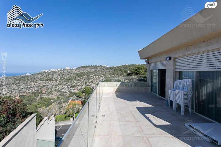 הוד הכרמל, דניה