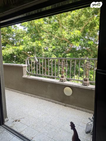 דירה, עמק השושנים, מרכז מערבי, נס ציונה