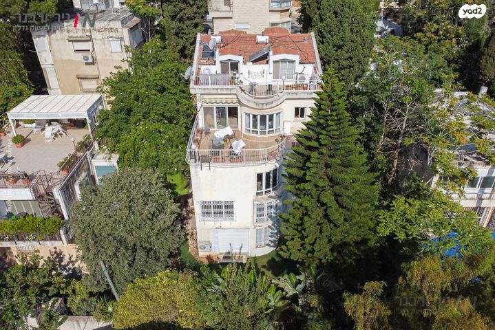 דירה, בנימין ד'ישראלי, אחוזה, חיפה