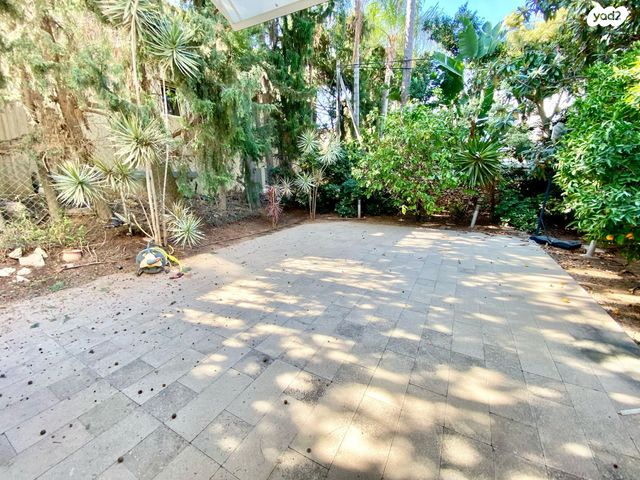 יהודה הנשיא 