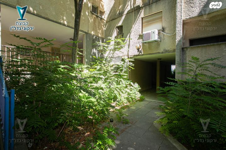 דירה, חבצלת, גבעת עמוס, נשר