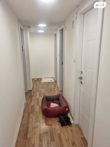 דירת גן, צונזר, קרית שלום, תל אביב יפו