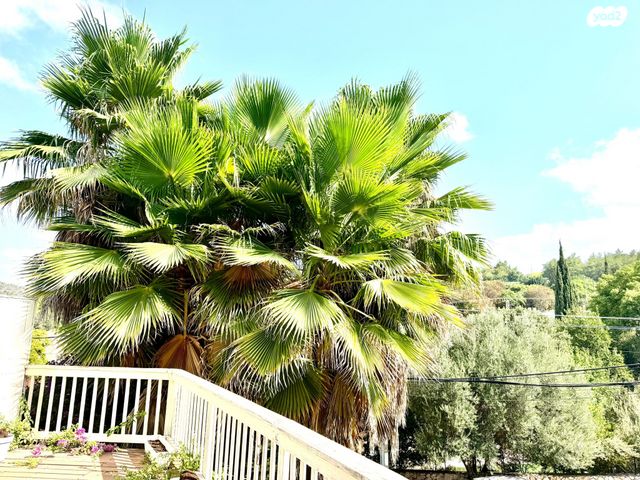 בית פרטי/ קוטג'