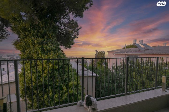 אלברט איינשטיין 