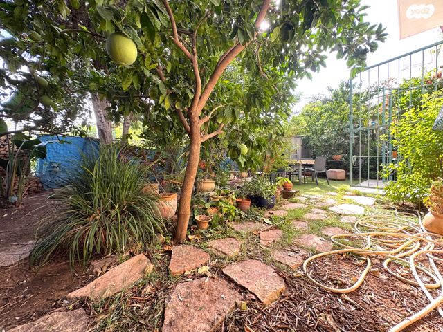 דירת גן, סביוני הכפר, כפר סבא