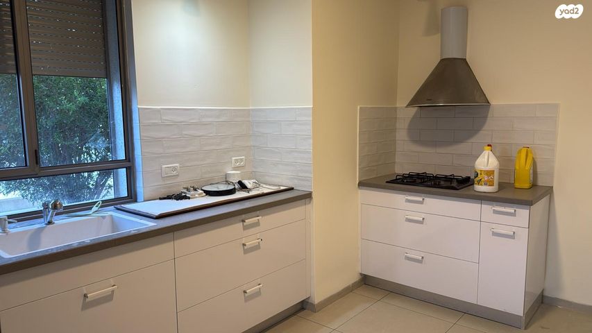 דירת גן, המייסדים, כינרת מושבה