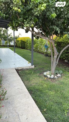 דירת גן, המייסדים, כינרת מושבה