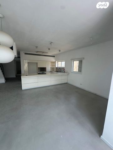 דופלקס, פרופ' שור, הצפון החדש - כיכר המדינה, תל אביב יפו