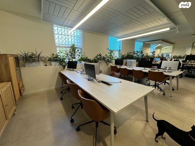משרדים, ליאונרדו דה וינצ'י, גני שרונה, קרית הממשלה, תל אביב יפו