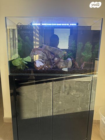 אביזרים | אקווריום