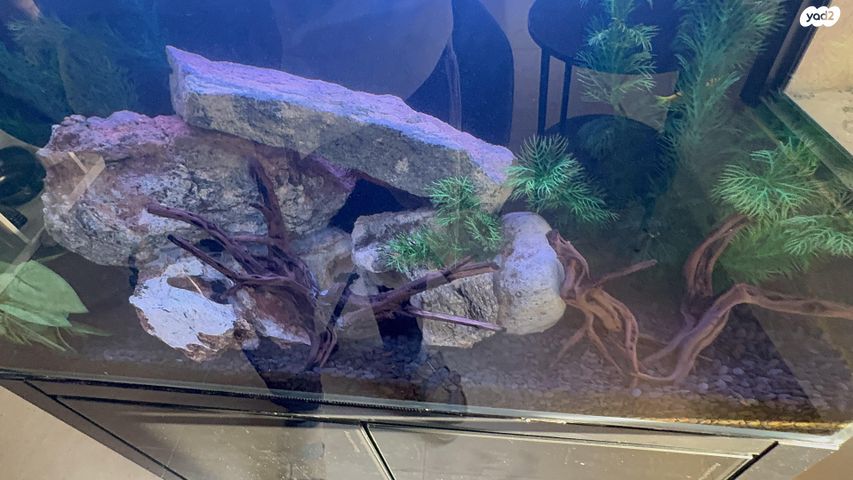 אביזרים | אקווריום