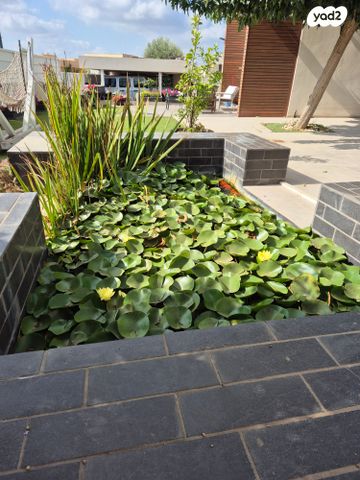 בית פרטי/ קוטג', צלפון