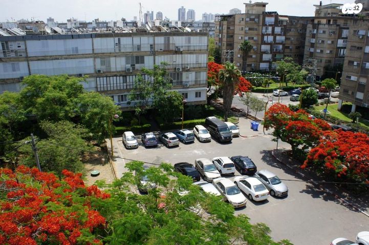 דירה, צאלים, נאות רחל, חולון