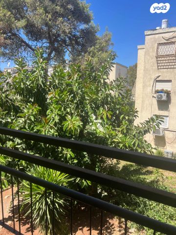 דירה, הגליל, נווה שאנן, חיפה