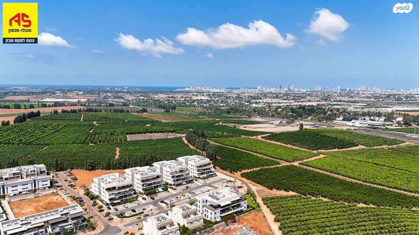 גג/ פנטהאוז, שכונה 8, תל מונד