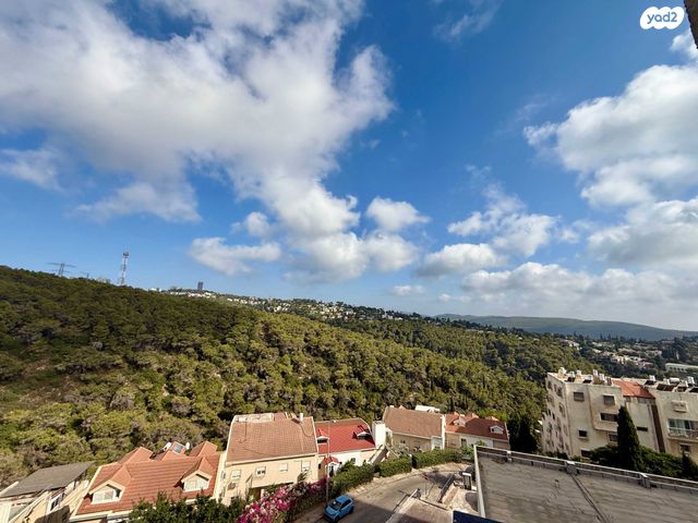 דירה, הרב אסף דוד, רמת בגין, חיפה