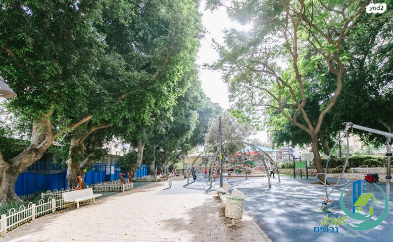 דירה, חיים כהן, פתח תקווה