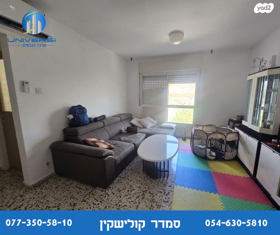 דירה, אשכולות, כרמיאל