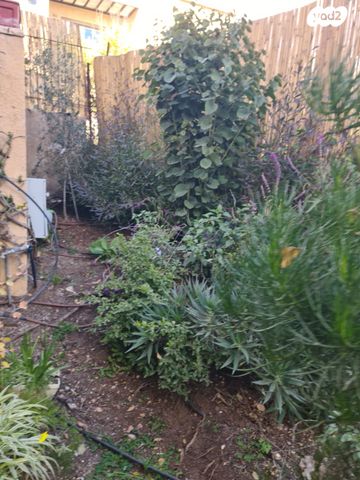 קטמון הישנה