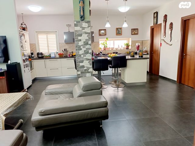 דירה, ויגודסקי, רמב"ם, ראשון לציון