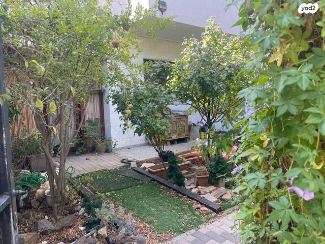 דו משפחתי, רובע 10 חן, קצרין