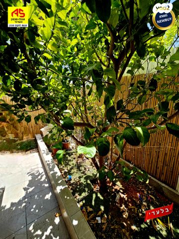 דירת גן, אשדוד