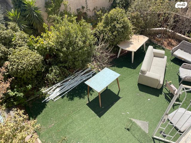 משה צבי סגל 