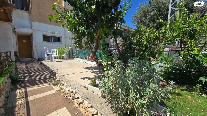 דירת גן, נץ, שאר העיר, צפת