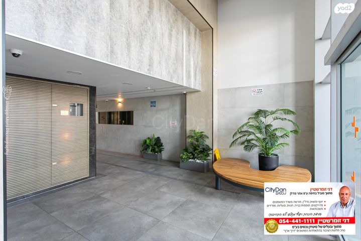 דירה, השחף, החותרים, טירת כרמל