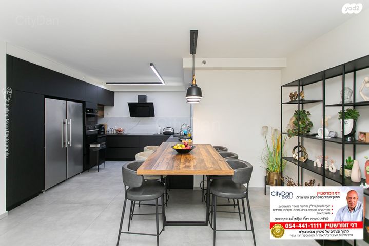 דירה, השחף, החותרים, טירת כרמל