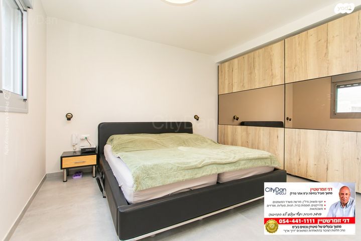 דירה, השחף, החותרים, טירת כרמל