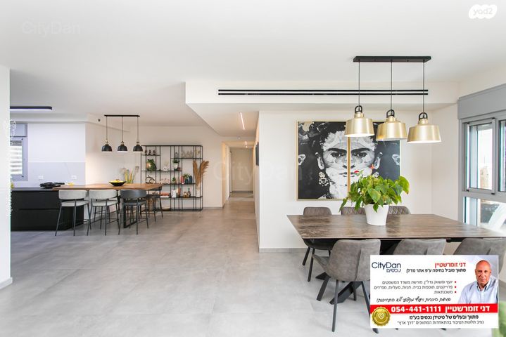 דירה, השחף, החותרים, טירת כרמל