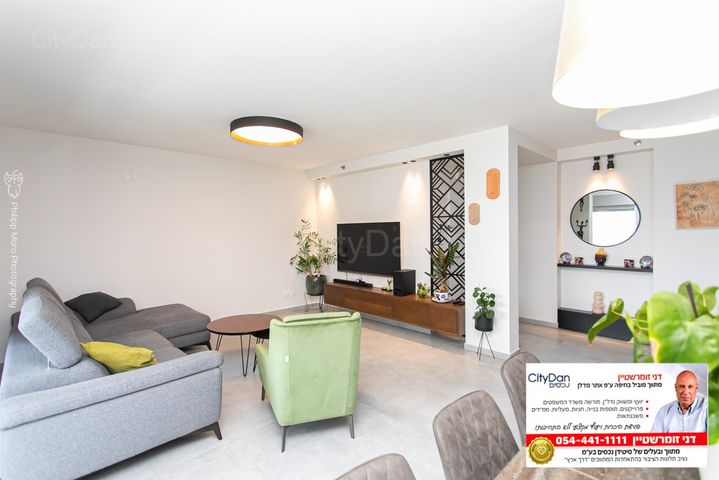 דירה, השחף, החותרים, טירת כרמל