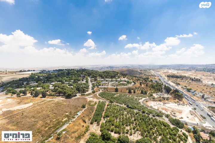 השופט חיים כהן 