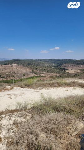 מגרשים, עין העמק